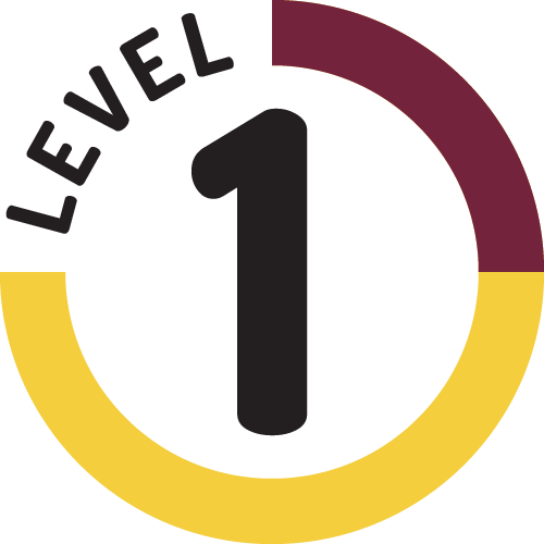 Level 01